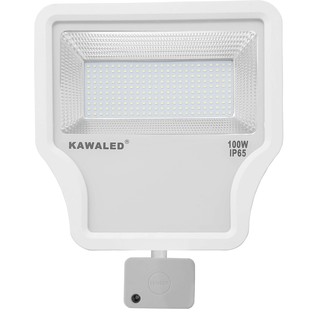 ĐÈN PHA LED CẢM ỨNG VI SÓNG CAO CẤP FL1R (20/30/50/100W)
