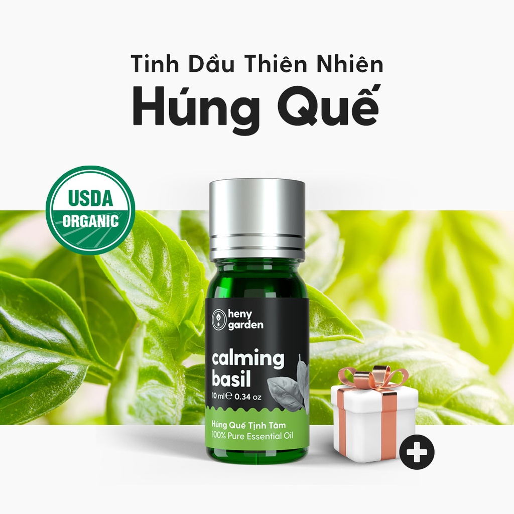 Tinh Dầu Húng Quế (Lá Thơm) Organic Thiên Nhiên Nguyên Chất Đậm Đặc Xông Thơm Phòng, Làm Nến Thơm HENY GARDEN