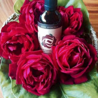 Nước cất hoa hồng Karose 100ml