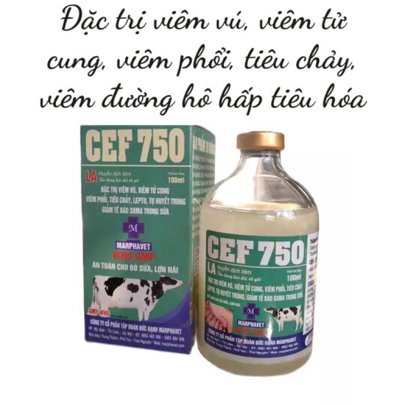 1 lọ CEF 750 dùng cho trâu bò lợn gà chó mèo