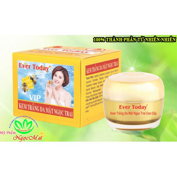 Kem dưỡng trắng da mặt Ngọc Trai VIP EVER TODAY (15g)