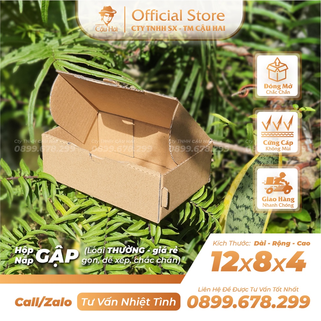 Set 50 Hộp carton nắp GẬP 12x8x4