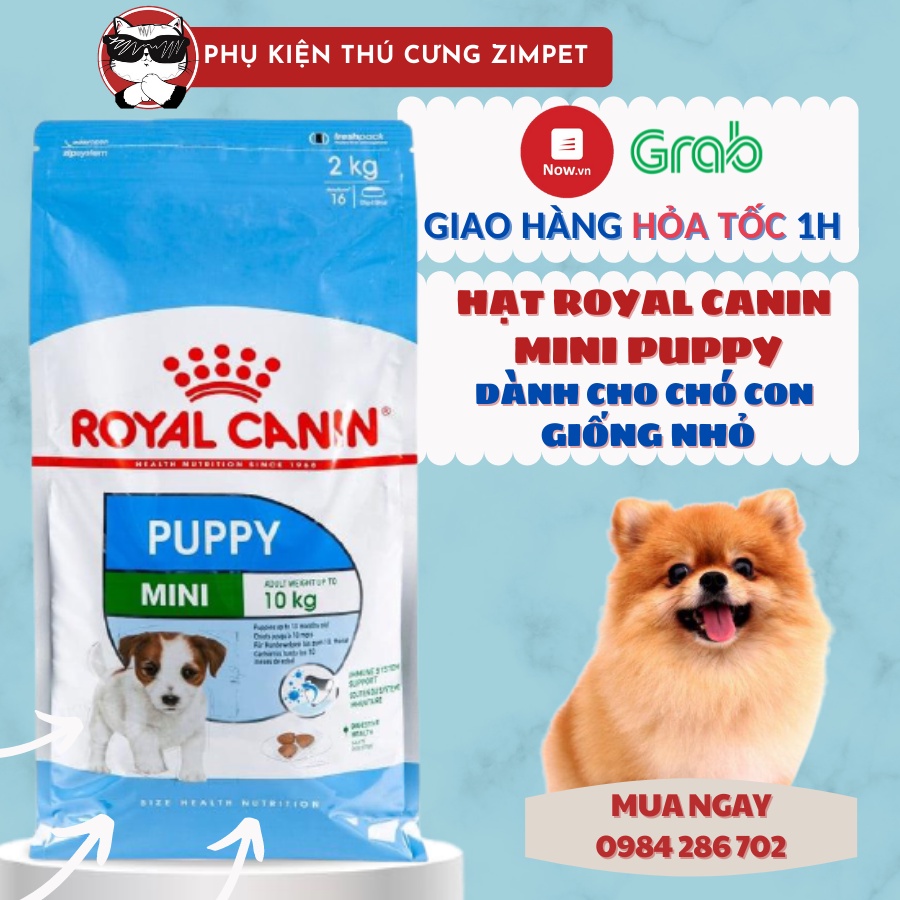 Hạt Royal Canin Mini Puppy Cho Chó Con Giống Nhỏ gói 1kg chi.ết