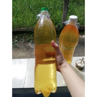 0.5 Lít MỠ TRĂN RÁN SẴN