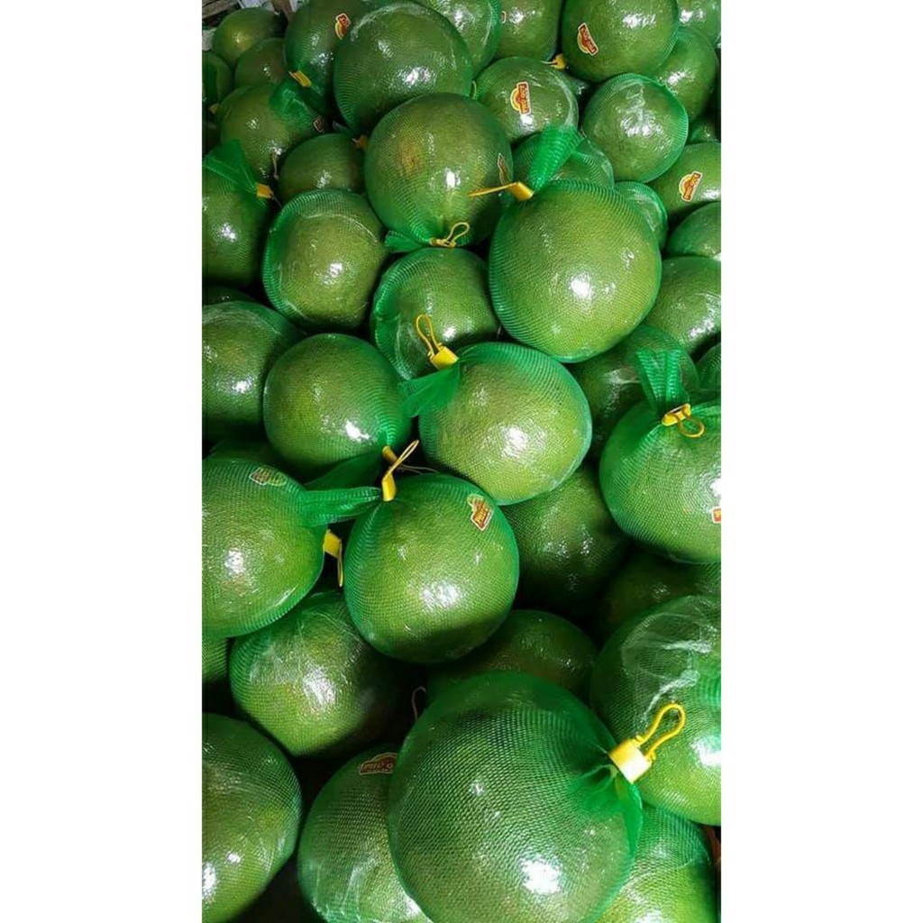 1kg Túi Lưới Xanh 30cm, 35cm, 40cm, 50cm bọc bưởi