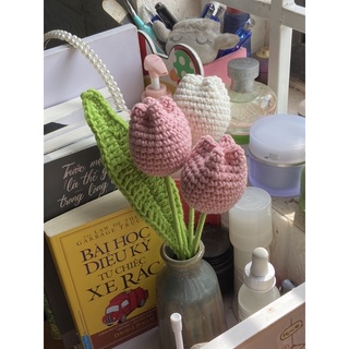 Bó basic 3 bông tulip trắng hồng 🌷