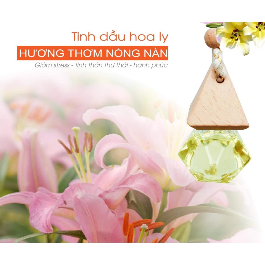 Tinh Dầu Thơm Ngân Bình treo phòng treo xe mẫu mới