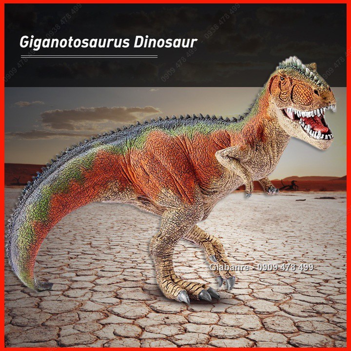 Mô Hình Khủng Long Khổng Lồ Phương Nam - Giganotosaurus - Màu Đẹp Size Lớn - 7725