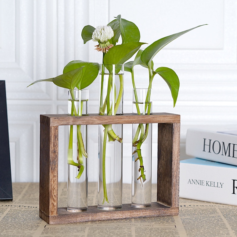 /CÓ SẴN/ Khung gỗ kèm lọ thủy tinh cắm hoa - bình trồng cây thủy sinh, bình cắm hoa, lá