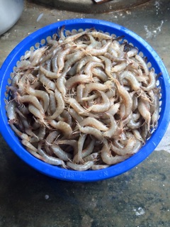 Tôm đất chua nhà làm