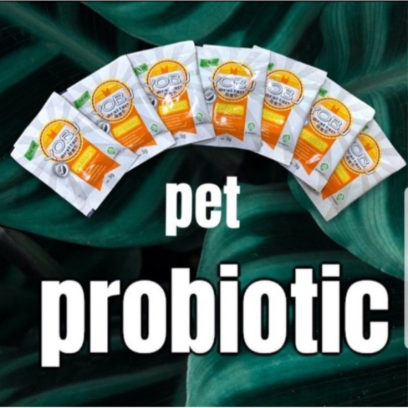 [Mã PET50K giảm Giảm 10% - Tối đa 50K đơn từ 250K] MEN TIÊU HOÁ PROBIOTIC CHÓ MÈO