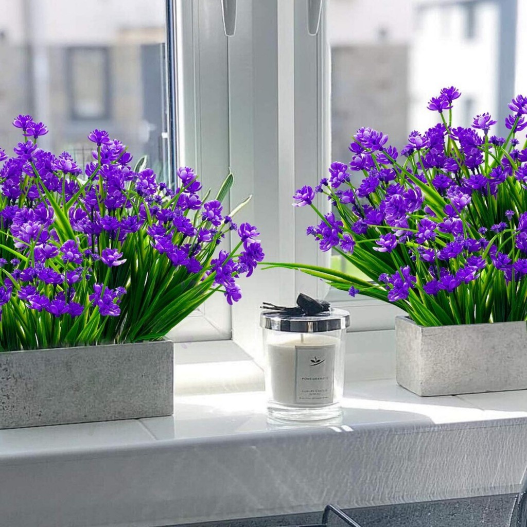 Cành hoa tóc tiên mẫu mới trang trí hàng rào, ban công cực đẹp