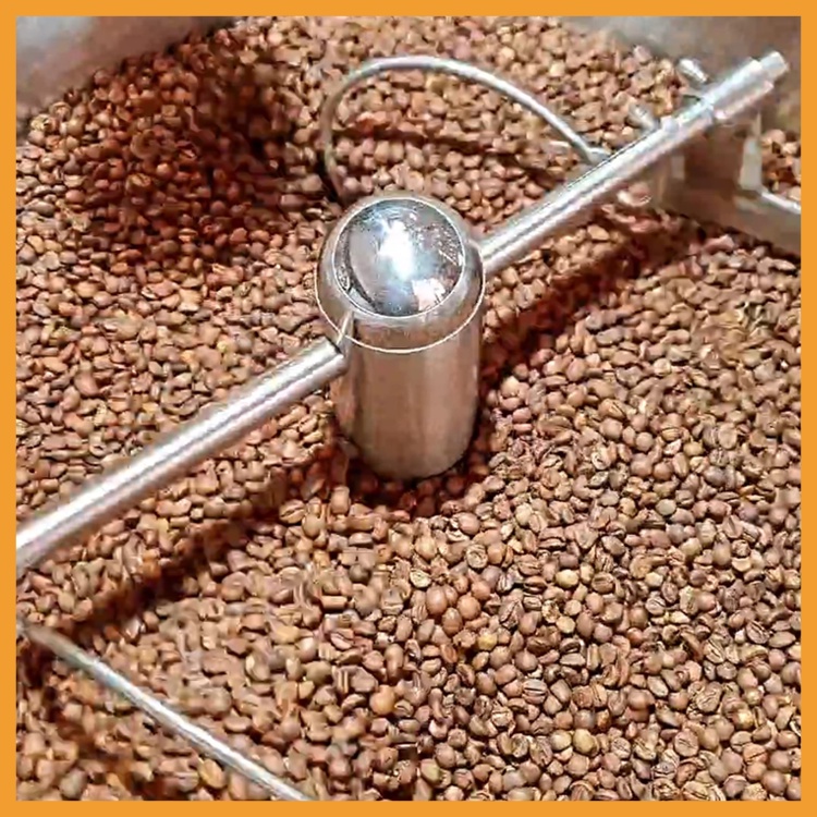 Cà Phê Arabica Khe Sanh - Túi 1Kg