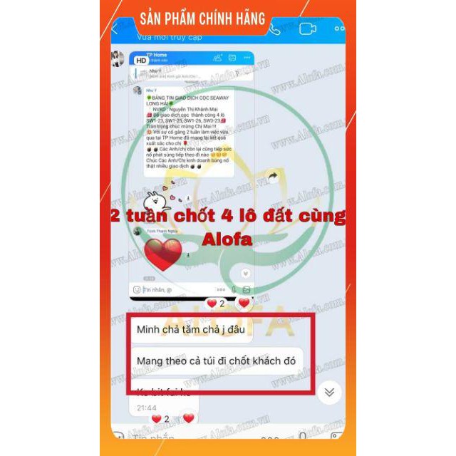 NỤ ALOFA - NỤ XÔNG TÀI LỘC NHƯ Ý ALOFA (1 HÔP)