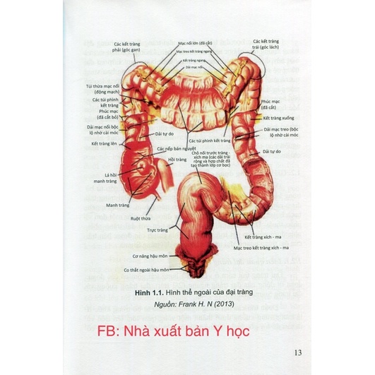 Sách - Phẫu thuật nội soi trong điều trị ung thư đại tràng