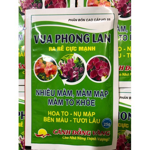 VUA PHONG LAN - RA RỄ CỰC MẠNH