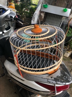 Dây chun ( dây thun ) móc lồng chim đi xe