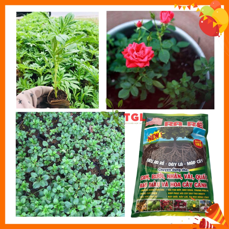 Phân Bón Vi Lượng VINAGREEN 01 - Gói 1kg - Phân vi lượng Siêu Ra Rễ, Dày Lá, Mập Cây