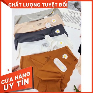 Set 5 quần chip su đúc hoa cúc ( ảnh thật 100%)