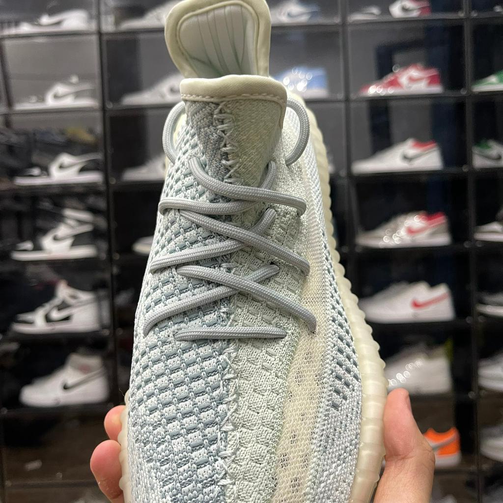 Giày Yz 350 V2 Cloud White, Yz 350 Trắng Xanh - Than.Shoes