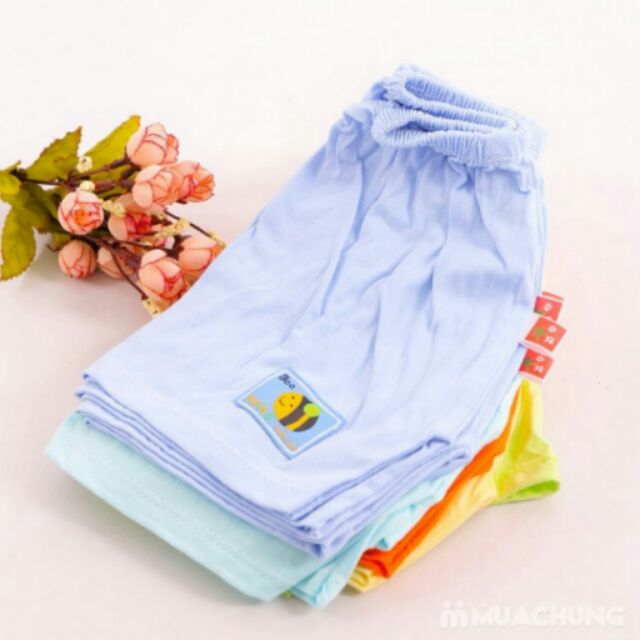 SỈ LẺ Quần đùi cá keiko (set 10c đủ màu)