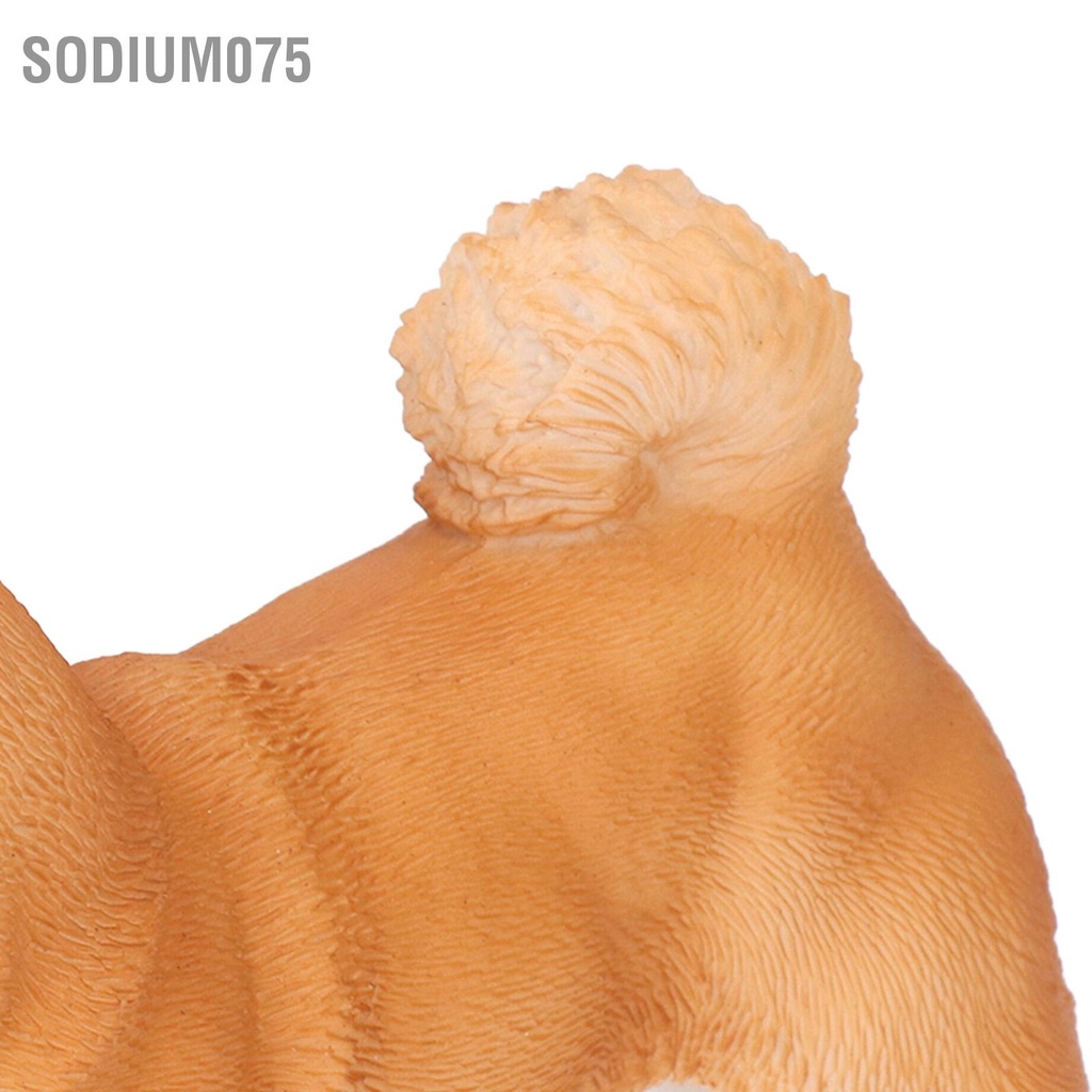 Sodium075 Dog Figurine Sống động như thật Không độc hại Đồ chơi trẻ em Mô hình vật bằng nhựa Trang trí cho Phòng ngủ Nghiên cứu