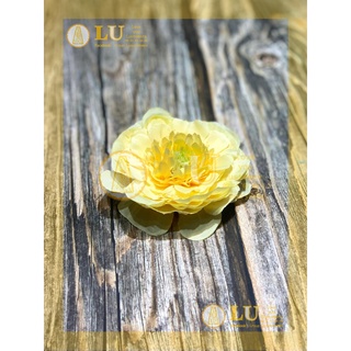 Đầu hoa tràm trà 9 - 10cm | LU