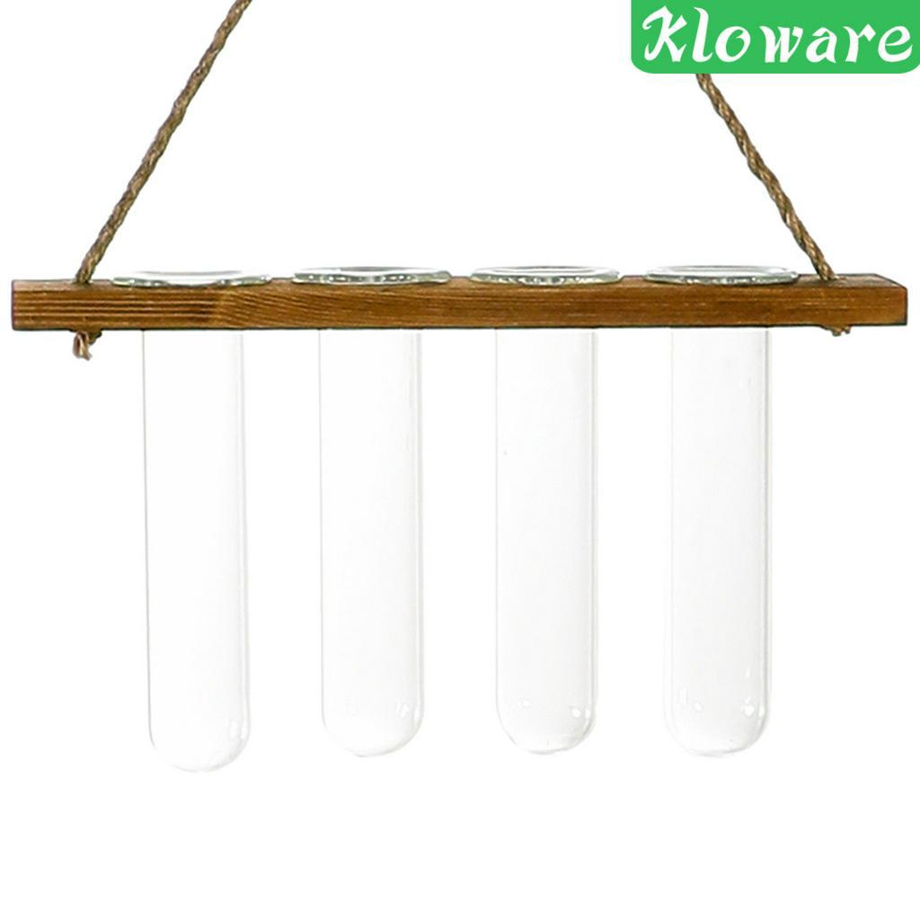 Chậu Kính Trồng Cây Có Móc Treo Tiện Dụng