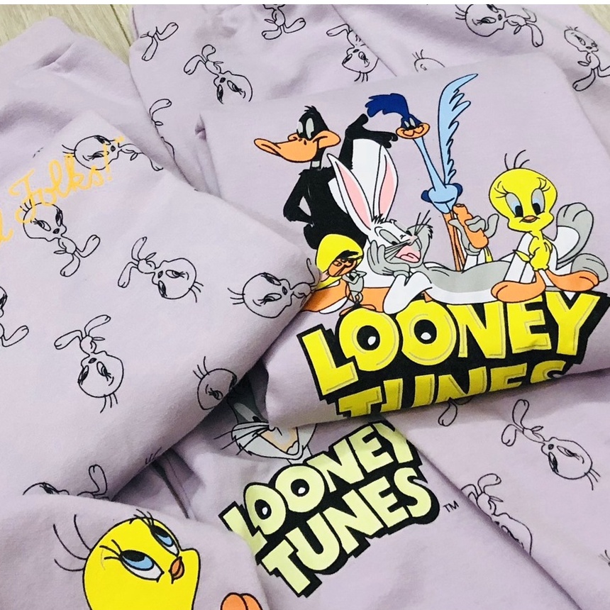 Bộ dài tay thu đông bé gái - Set 2 bộ nỉ LOONEY TUNES tím HM cho bé gái size1-6t