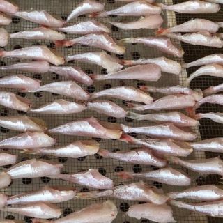 1kg cá đùi gà loại ngon, ship miền Bắc