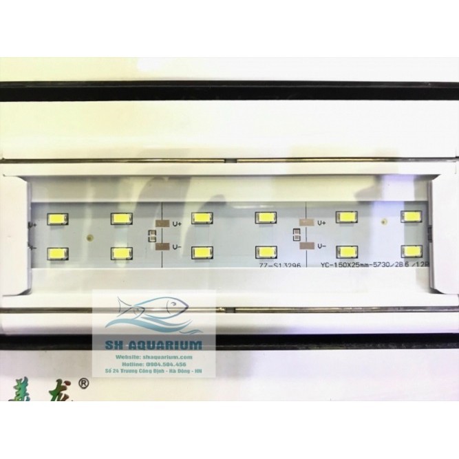 Đèn máng cho bể thủy sinh, cá cảnh Led XML