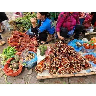 Sâm cau đỏ Tây Bắc xô 1kg