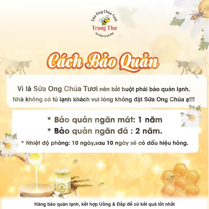 Sữa Ong Chúa