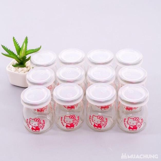 [KHO SỈ] Hộp 12 Hũ làm sữa chua thuỷ tinh 100ml (trắng trơn và hình)