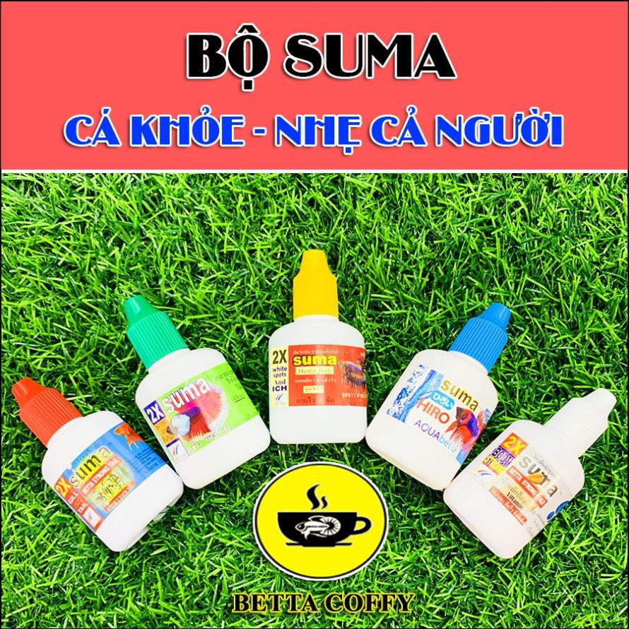 Bộ sản phẩm Suma - Hỗ trợ nuôi cá Betta