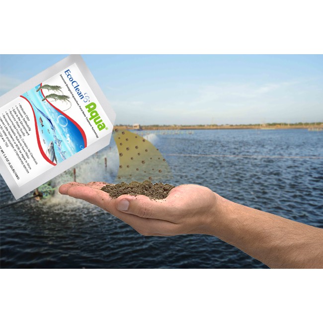 Vi sinh bể cá EcoClean Aqua (USA) - Xử lý tảo, cải thiện nước bể, ao nuôi cá cảnh (100gr/gói)