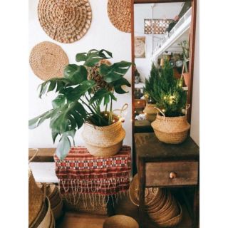 Chậu cói trồng cây, giỏ cói tự nhiên
