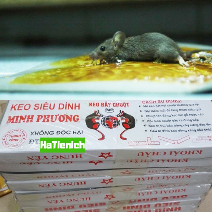  Combo 5 Keo Bẫy Chuột, Keo Siêu Dính Minh Phương Chất Lượng - Hà Tiện Ích