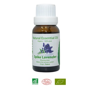 Tinh dầu nguyên chất thiên nhên Oải Hương Spike Pháp - Spike Lavender Essential Oil