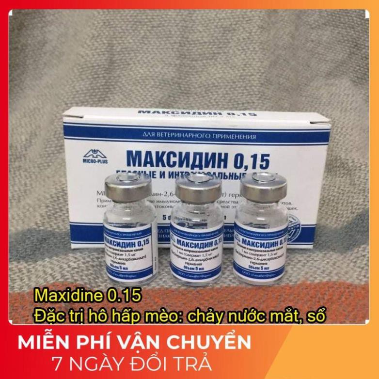 Nhỏ mắt mũi cho mèo Maxidine 0.15 nhập Nga, viêm giác mạc, sổ mũi, chảy nước mắt