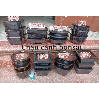 Chậu trồng cây bonsai chậu trồng cây để bàn chậu trồng cây sen đá chậu cảnh bonsai