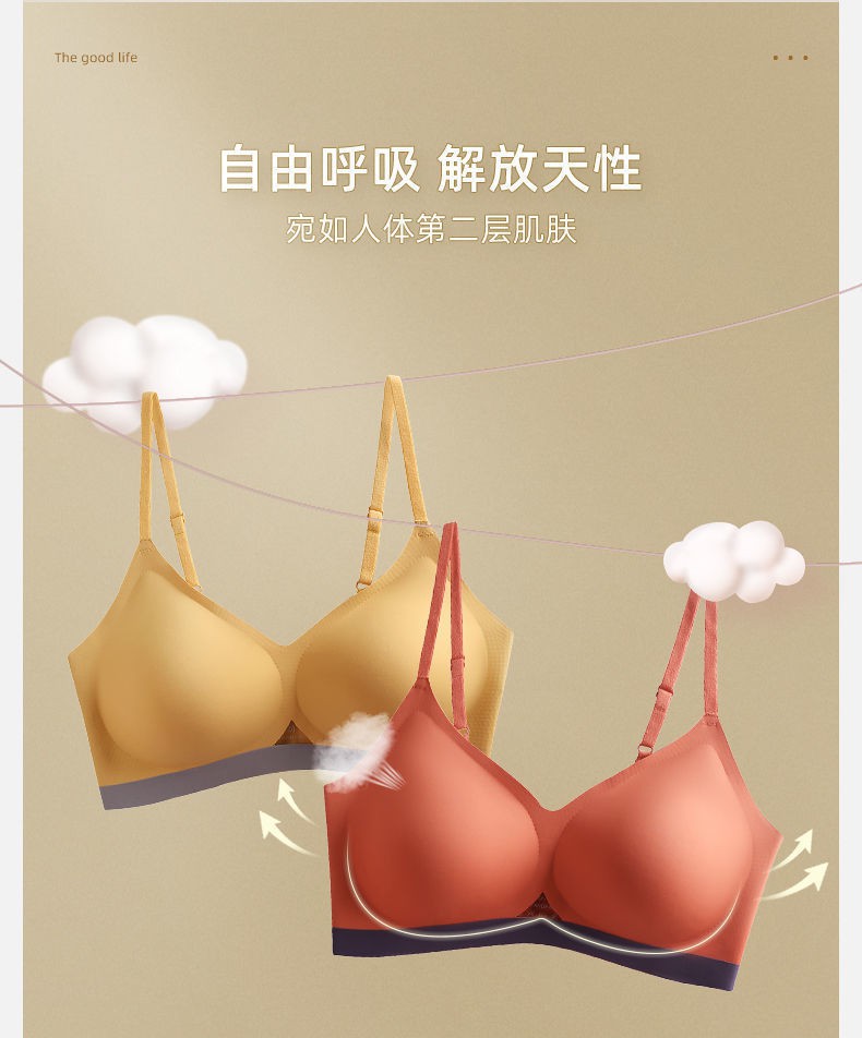 Áo Lót Không Đường May Thoải Mái Cho Nữ | BigBuy360 - bigbuy360.vn