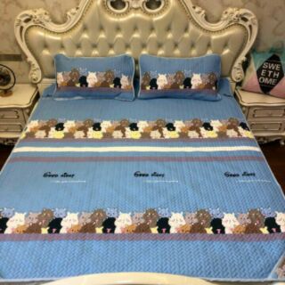 Chiếu Tencel  cao cấp m6*2m