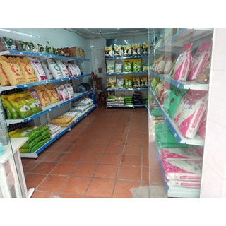 Gạo ST25 túi 5kg (Gạo vụ mới rất thơm và dẻo)