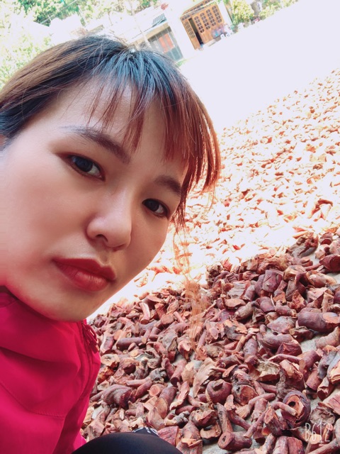 Rễ Cây Mú Từn Loại Vip-Bí Quyết Dân Tộc Mông Sơn La