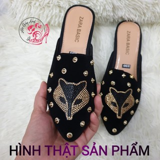 DÉP SỤC HỒ LY