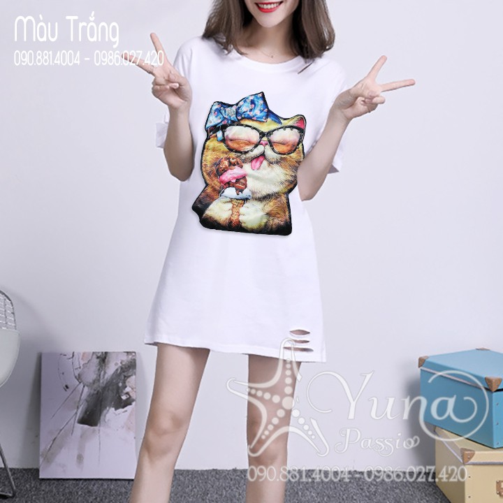 Áo Form Dài Giấu Quần Mèo Đinh