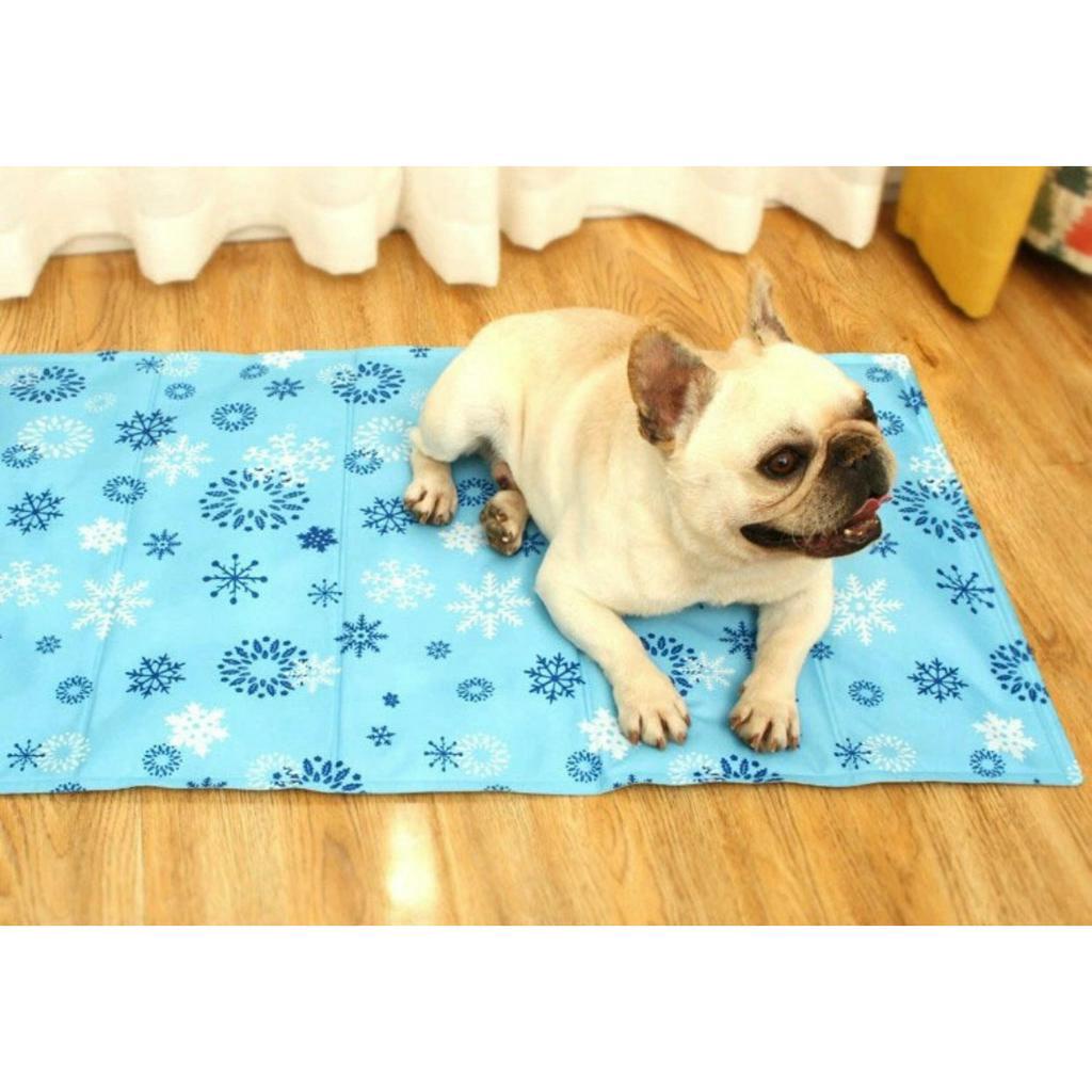 Giao hỏa tốc - Thảm mát cho thú cưng - Đệm gel lạnh chống nóng cho thú cưng