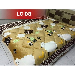 Chăn lông cừu