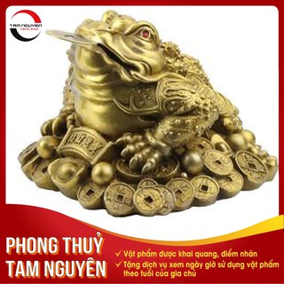 Cóc Ba Chân - Cóc Thiềm Thừ đồng phong thủy - Chiêu tài lộc, hóa giải tiểu nhân, vật phẩm để bàn